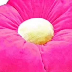 Meet your Posher, Kelsie